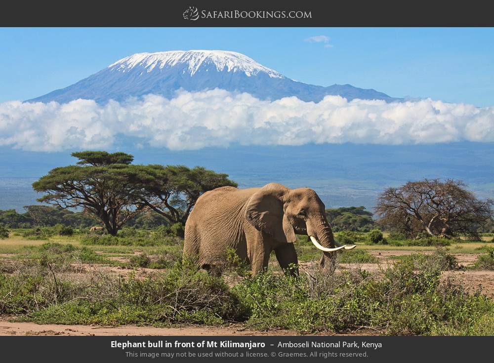 Amboseli_National_Park
